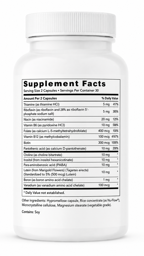 Brain Support